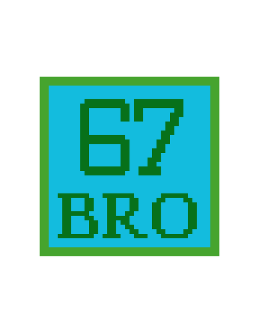 Beginner 67 Bro Wholesale